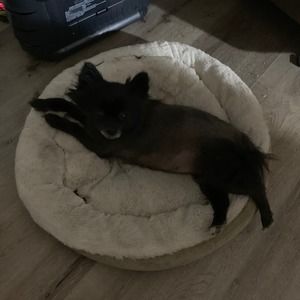 Meet your Posher, Marci